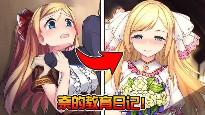 奈的教育日记 中文界面 详情图 1